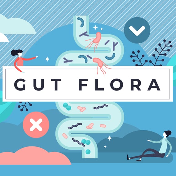 gut-flora-bg-final